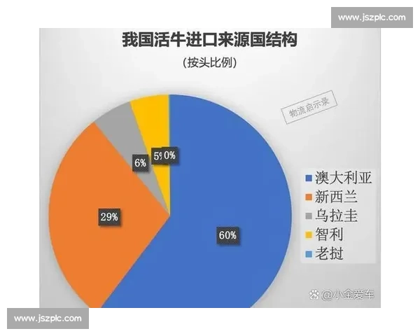 数据刷屏时代下信息传播速度与认知变革的深度解析趋势与挑战研究